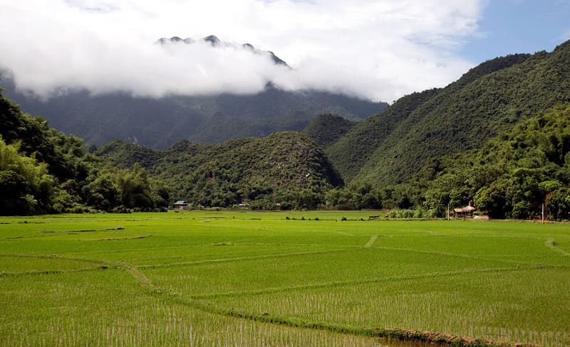 mai-chau-1